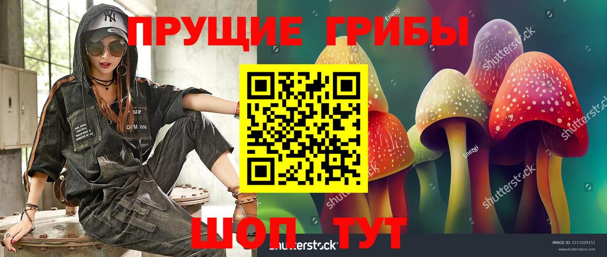 Галлюциногенные грибы Psilocybe  Вход с VPN  Ижевск 